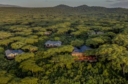 Ngorongoro Lion's Paw Camp - BANNER